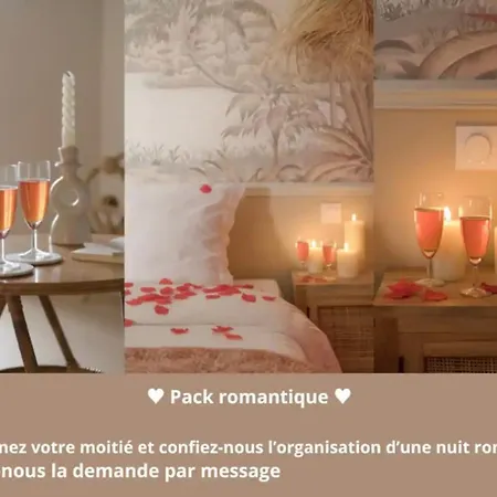 Cosy Et Wifi Tres Debit Apartment Lyon